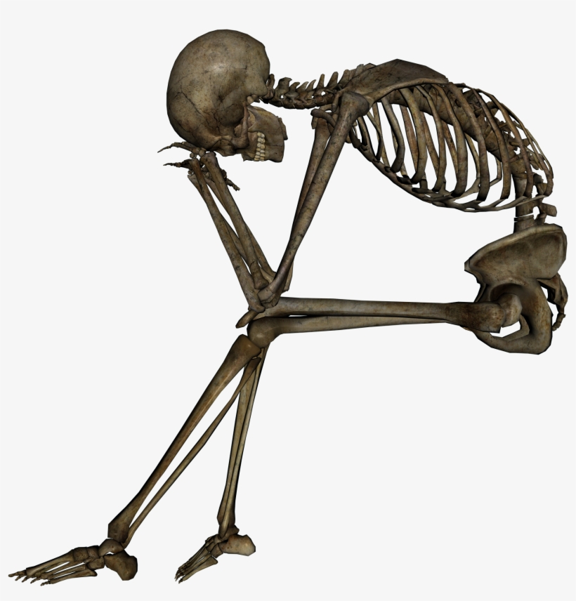 Skeleton Png - Meme Do Otaco Fedido, transparent png #7820