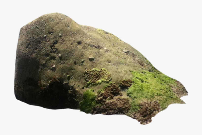 Rock Png Hd - Rock Transparent, transparent png #7871