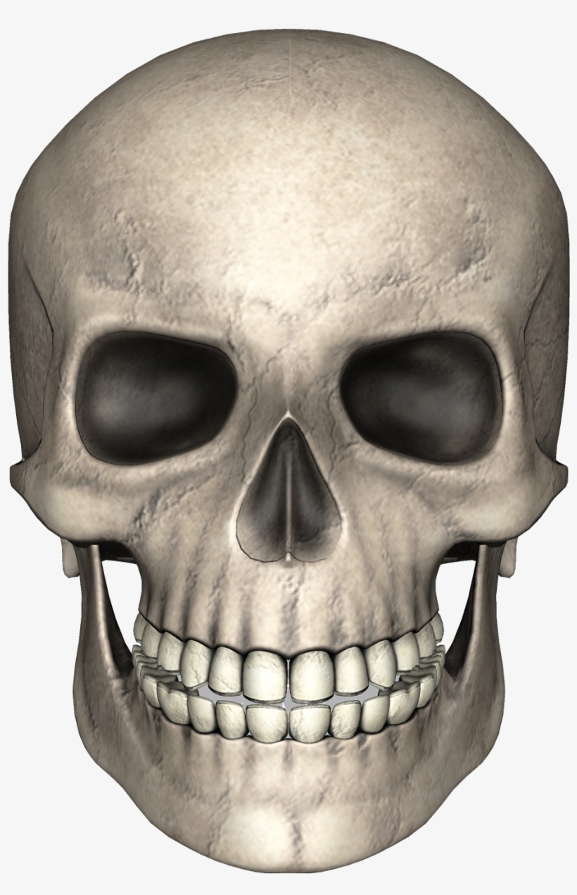 Skull Png Image - Skull Png, transparent png #7925