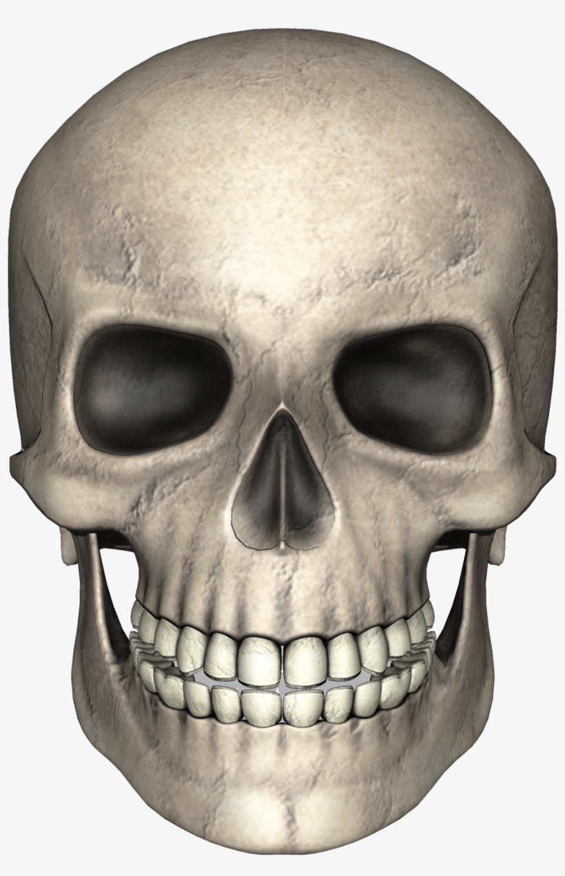 Skull Png Image - Skull Png, transparent png #7925