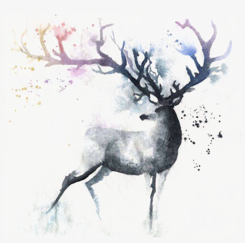 Deer Watercolor Painting Out Of The Cot Art - Deer Watercolor, transparent png #8101