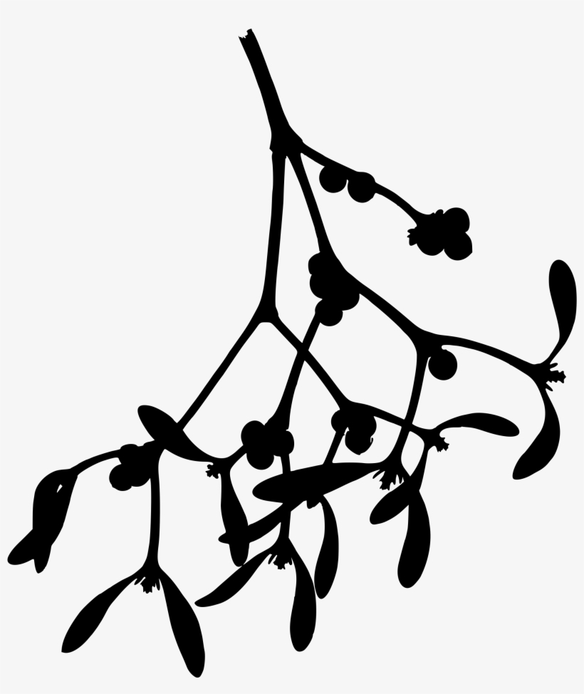 This Free Icons Png Design Of Mistletoe Silhouette, transparent png #8257