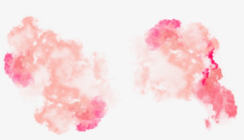 Rita Ora Miami Special Tezenis Underwear, transparent png #8425