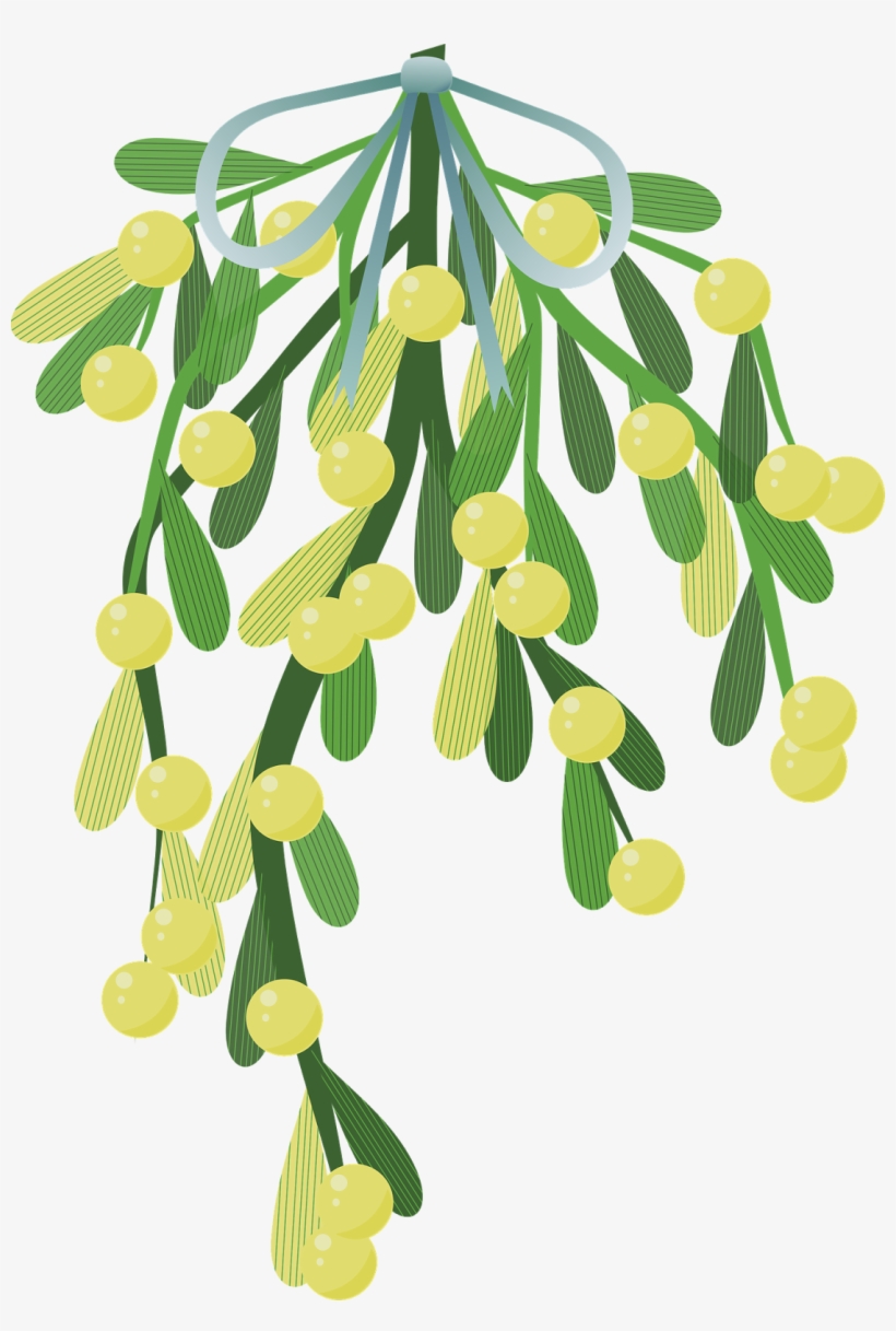 Wishbone Mistletoe Happy New Year Glückliches Neujahr - Mistletoe Illustration Png, transparent png #8724