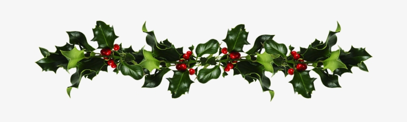Holly And Mistletoe - Mistletoe And Holly Png, transparent png #8731