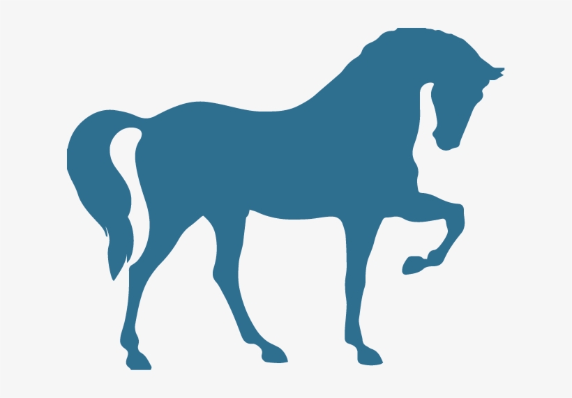 Horse - Silueta De Caballo Parado, transparent png #8757