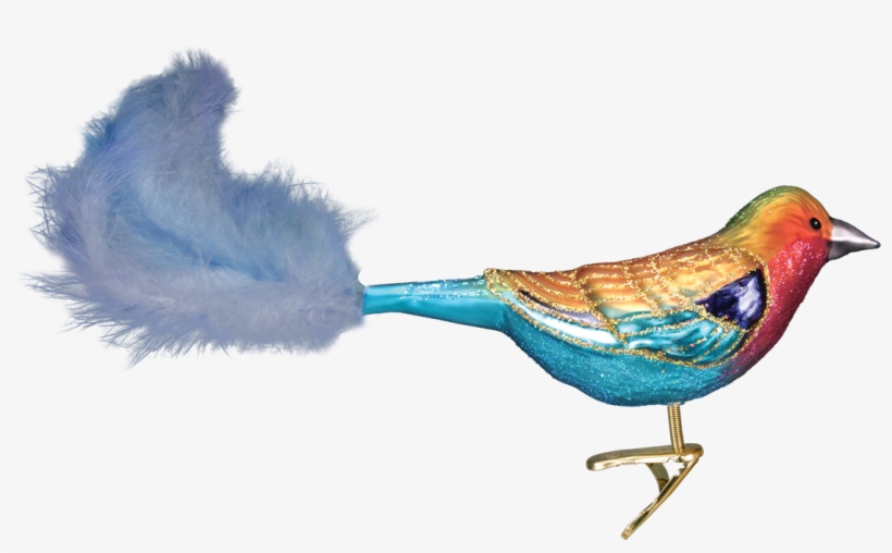 Bird Ornaments And Decorations - Old World Christmas Lilac-breasted Roller Glass Blown, transparent png #9132
