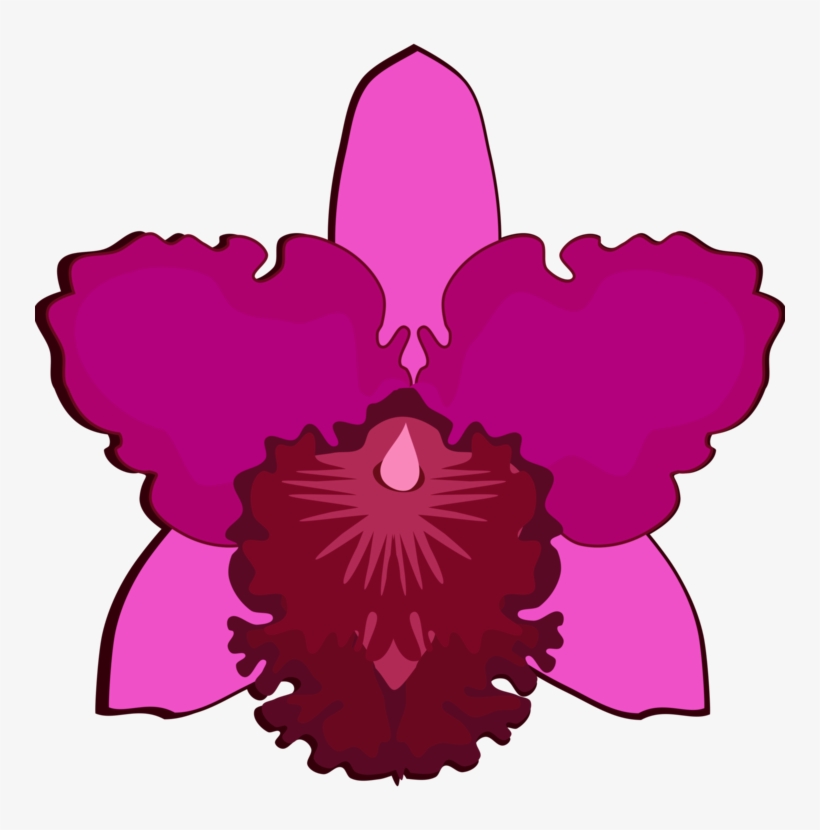 Cattleya Orchids Drawing Flowering Plant Petal Free - Orchids, transparent png #9370