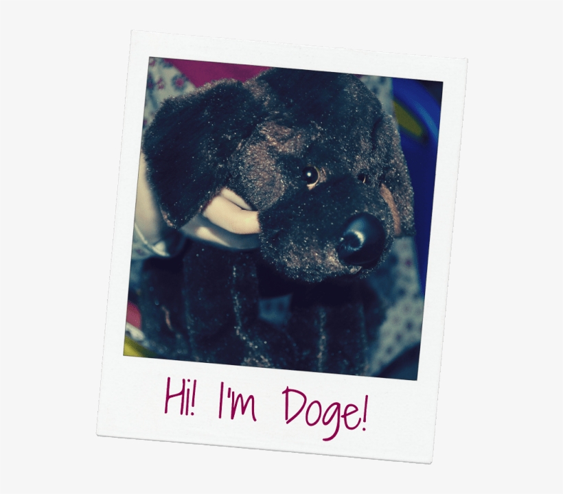 Tasmanian Devil, transparent png #9653