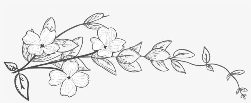 Logo9 - Portable Network Graphics, transparent png #9670