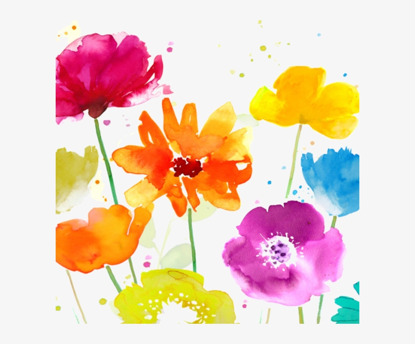 Daisies Drawing Watercolour - Watercolor Painting, transparent png #9673