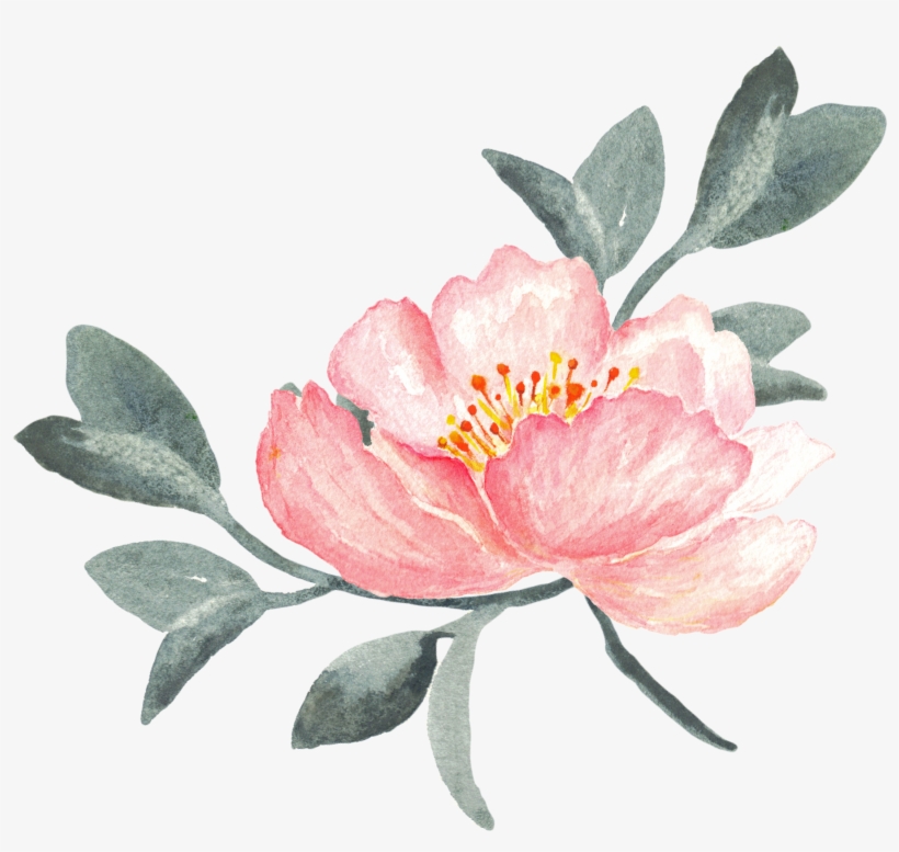 Peony Clipart Swag - ภาพ วาด ดอกไม้ Png, transparent png #9678