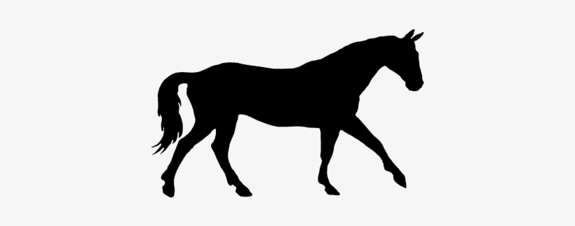 Horse Silhouette Png, transparent png #9875
