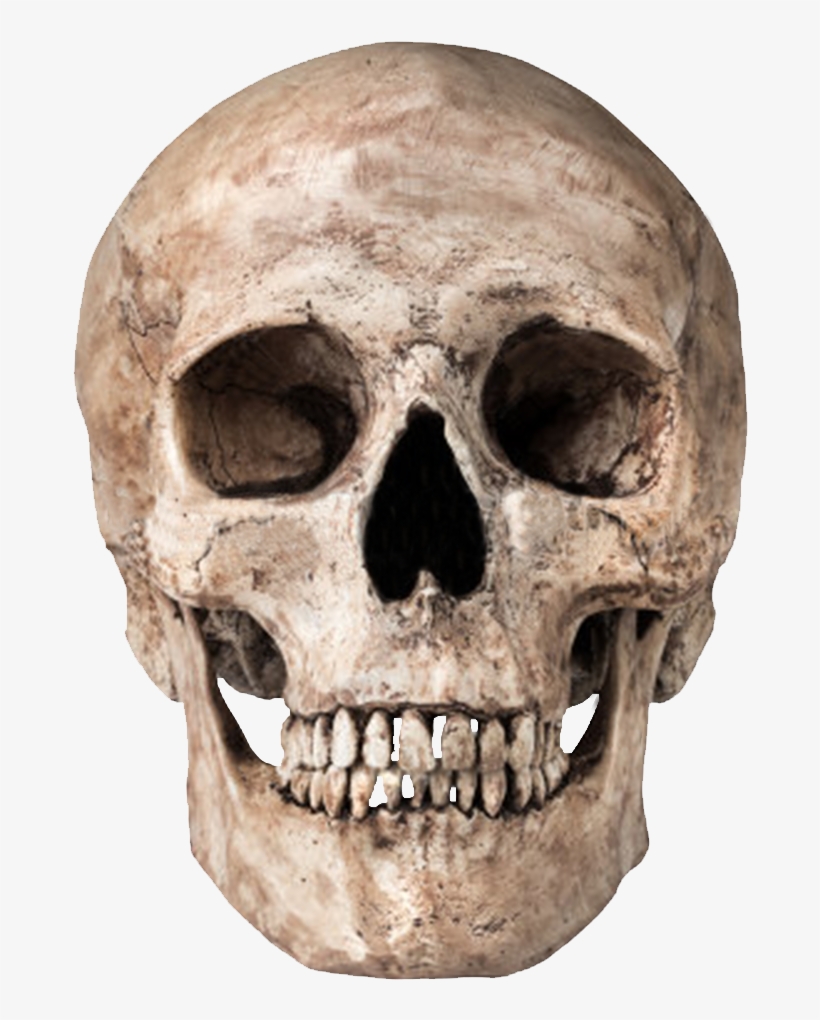 Skull Png Image - World Golf Championships Mexico, transparent png #10315