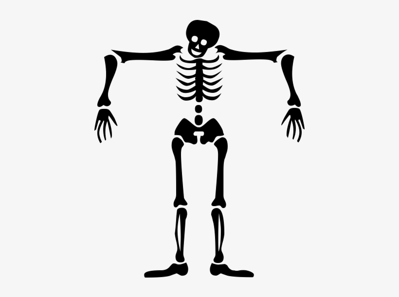 Halloween Skeleton Vector Free Png Background Image - X-ray Tech Mousepad, transparent png #10405