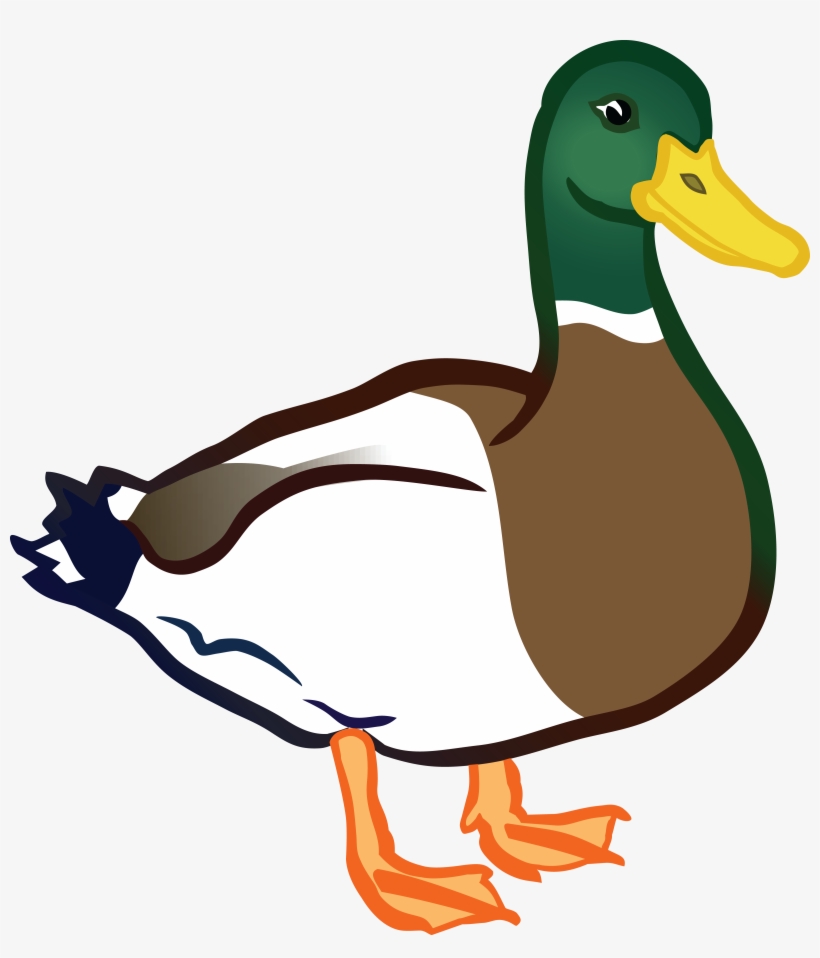 Clip Art Of Ducks Images On Page - Duck Clipart, transparent png #10477