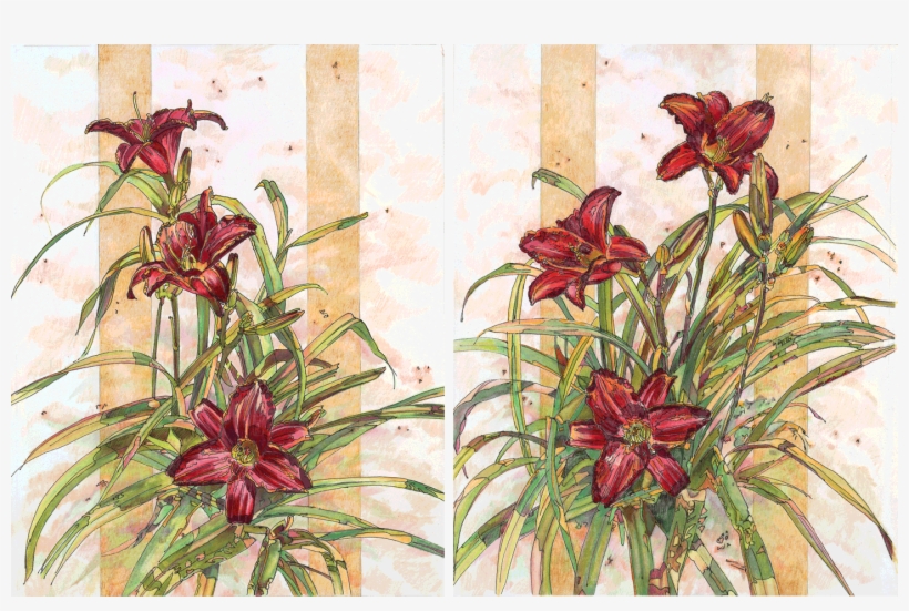 Red Daylilies I And Ii - Bromelia, transparent png #10601