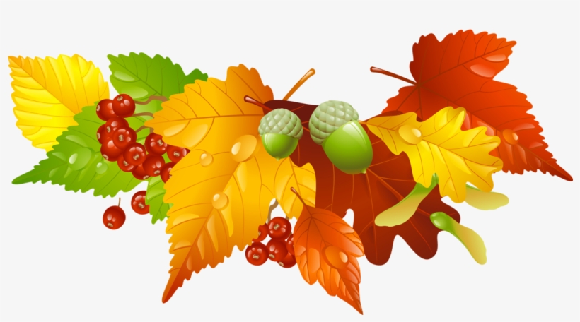 Autumn Leaves And Acorns Decor Png Picture - Thanksgiving Wreath Clip Art, transparent png #10705