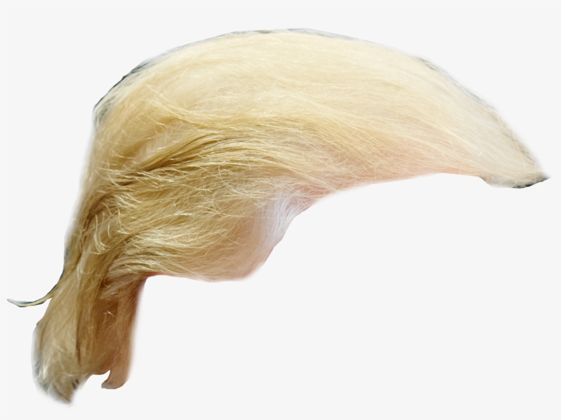 Trump Hair - Donald Trump, transparent png #10822