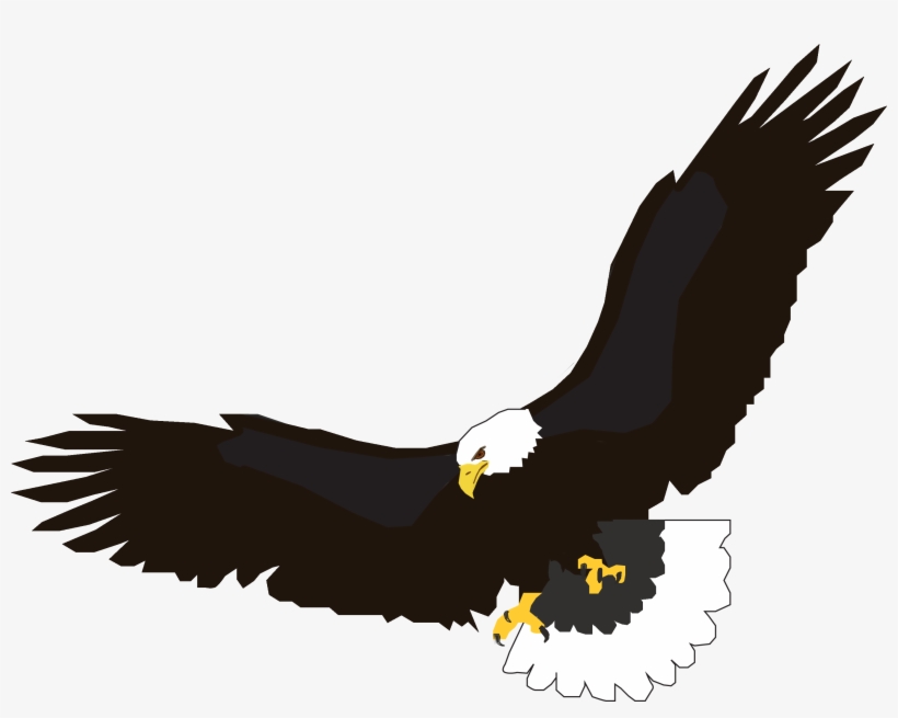 Download Flying Eagle Png Image Download Hq Png Image - Eagle Flying Clipart, transparent png #10937