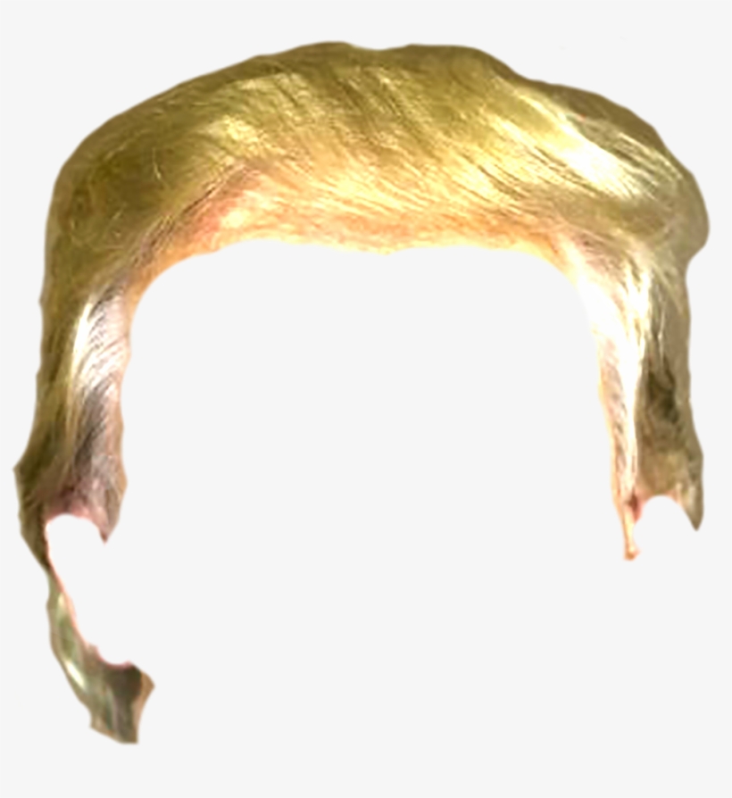 Trump Hair Png - Trump Wig Png, transparent png #10988