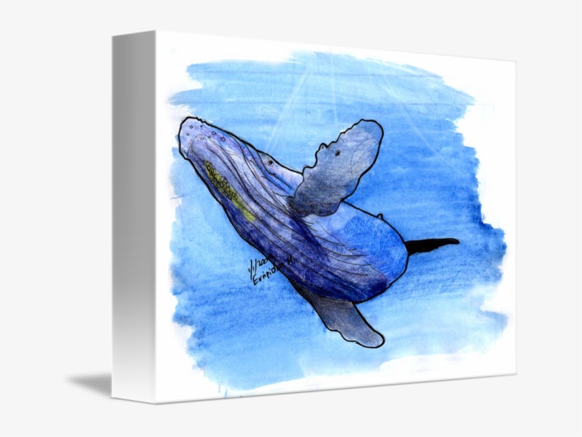 Transparent Whale Watercolor Clipart - Humpback Whale Drawng, transparent png #10994