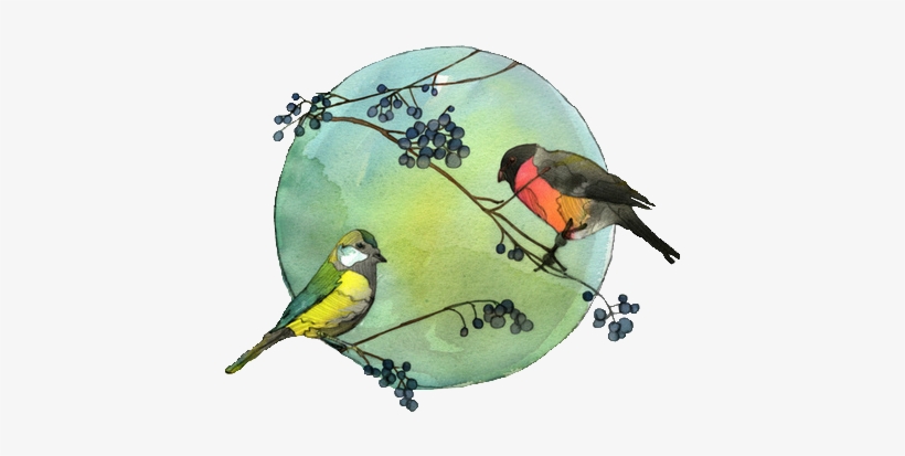 Art Birds Watercolor Bird Transparent Transparent - Green Bird Watercolour Transparent, transparent png #11199