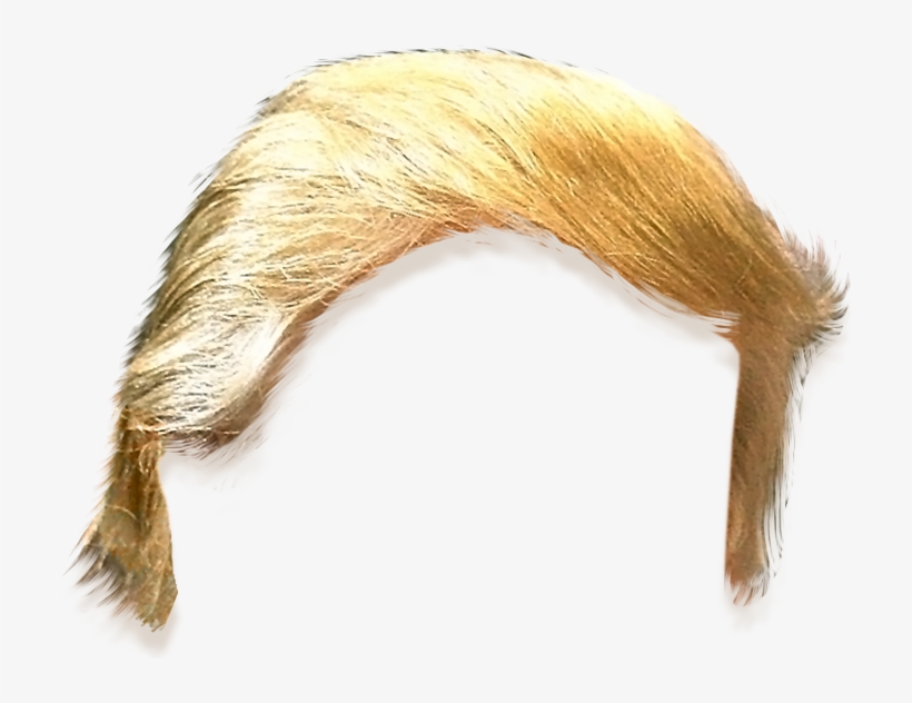 Donald Trump Hair Cut Out, transparent png #11251