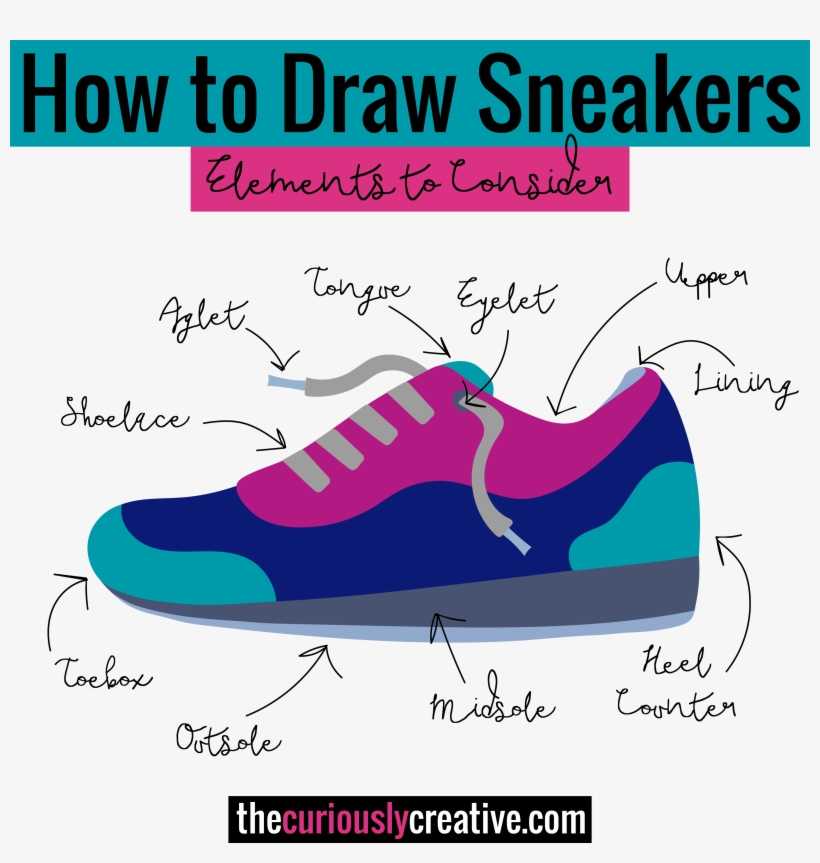 Anatomy Of A Sneaker - Sneaker Anatomy, transparent png #11495
