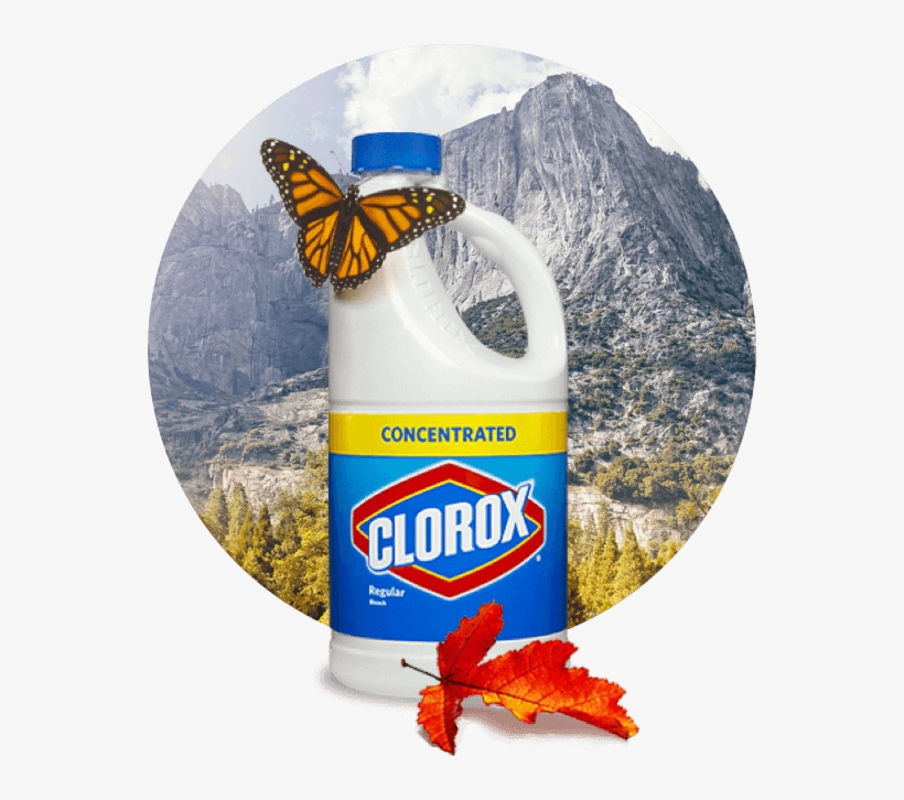 A Bottle Of Bleach - Clorox Automatic Toilet Cleaner With Teflon 70ml, transparent png #11690