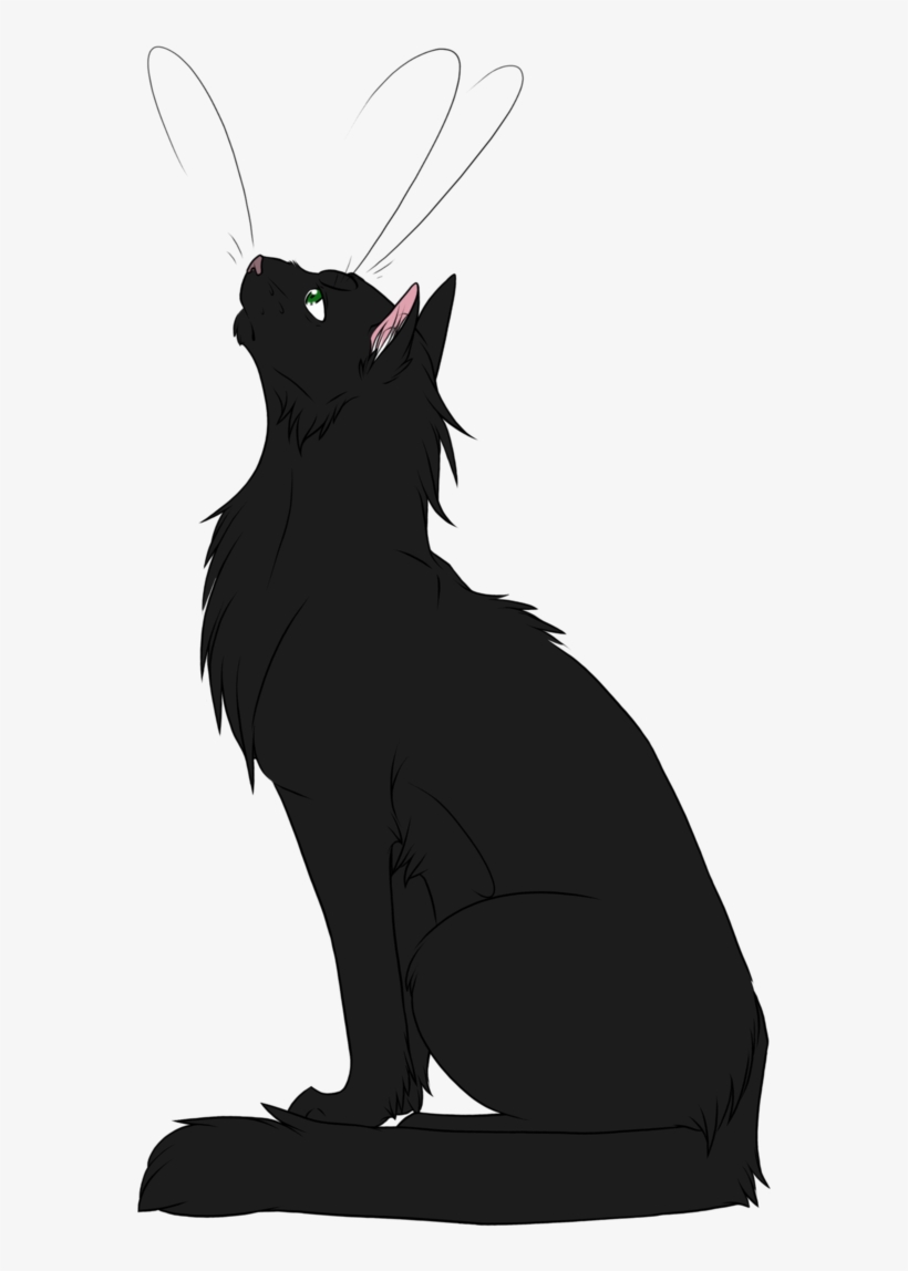 Vector Cat Watercolor - Warrior Cats Deviantart Hollyleaf, transparent png #11792