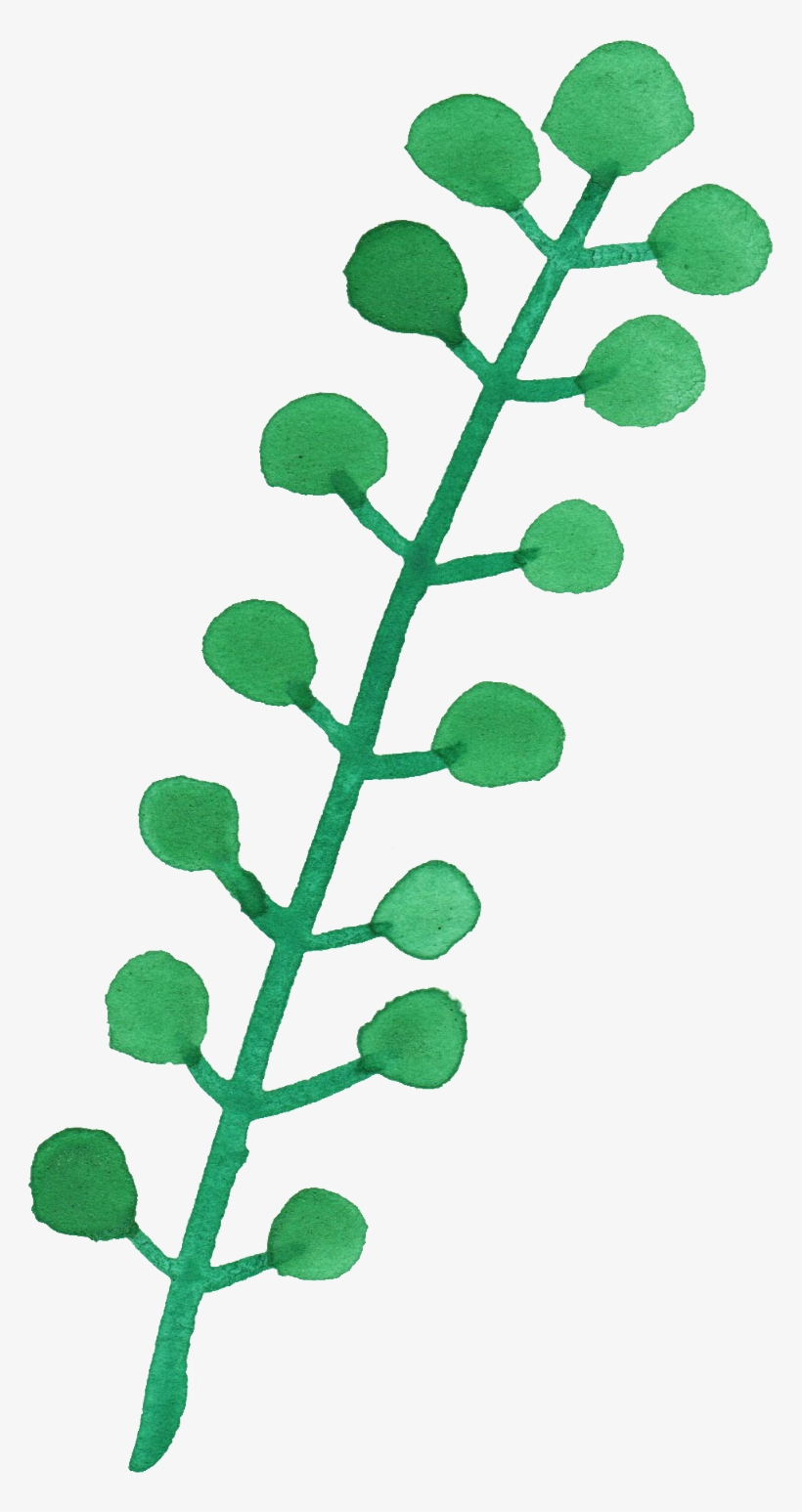 Transparent Leaves Watercolor - Watercolor Leaves Png Free, transparent png #11828