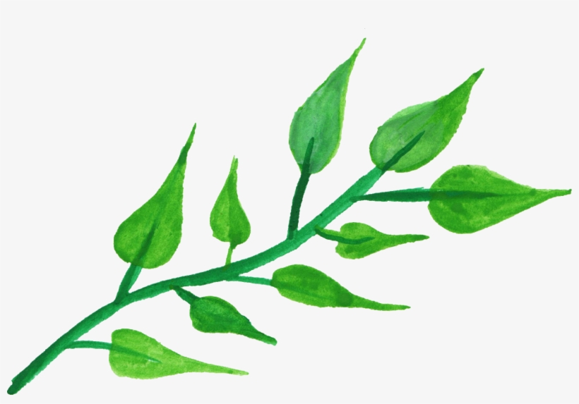 Transparent Leaves Watercolor - Transparent Leaves Watercolor Png, transparent png #11845