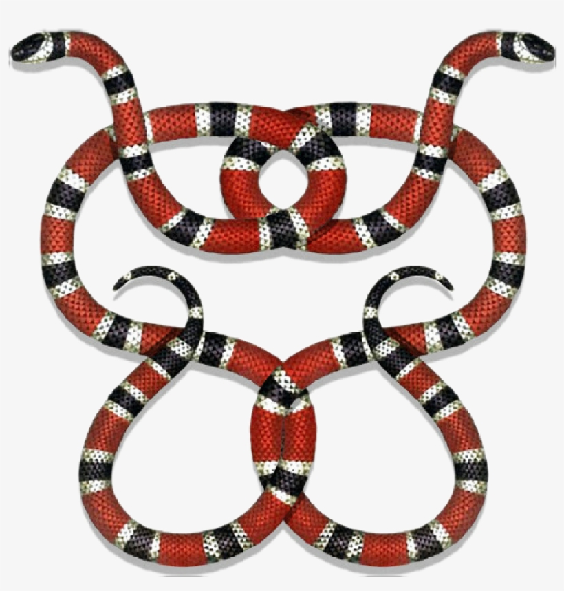 Gucci Guccigang Snakes Guccilogo Logo Stickerpng - Coral Snake Painting, transparent png #12231