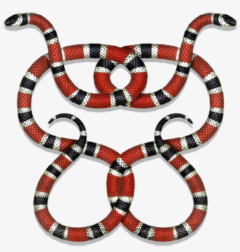 Coral shop snake gucci