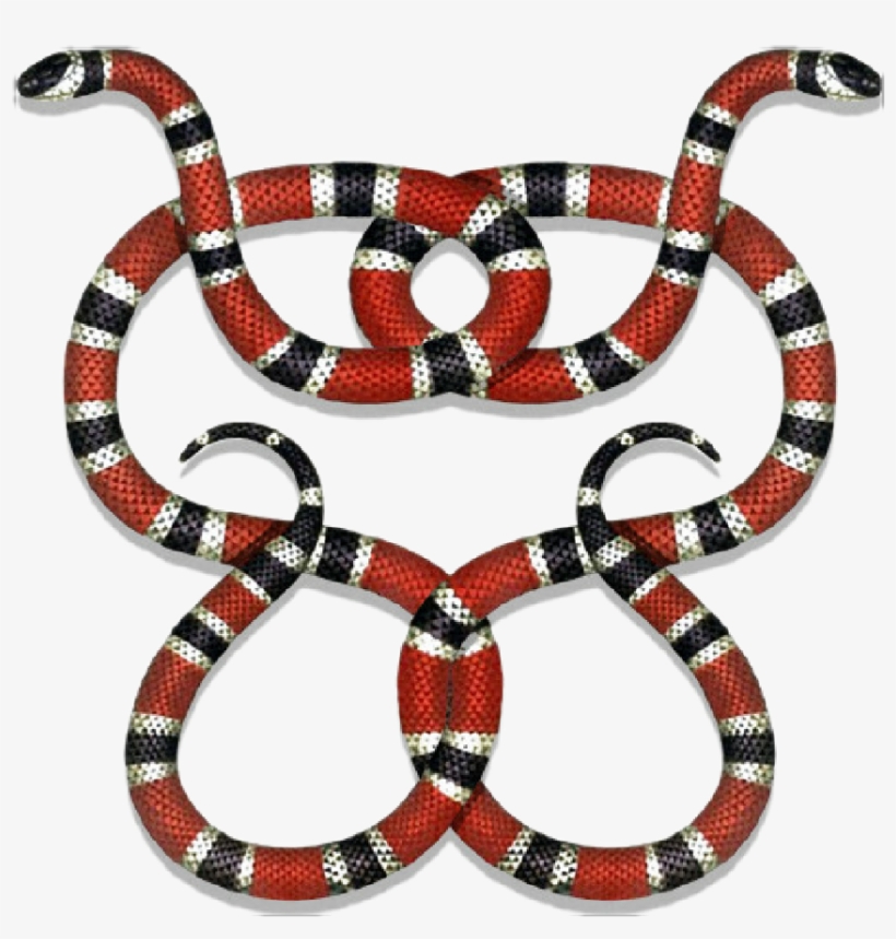 coral snake gucci