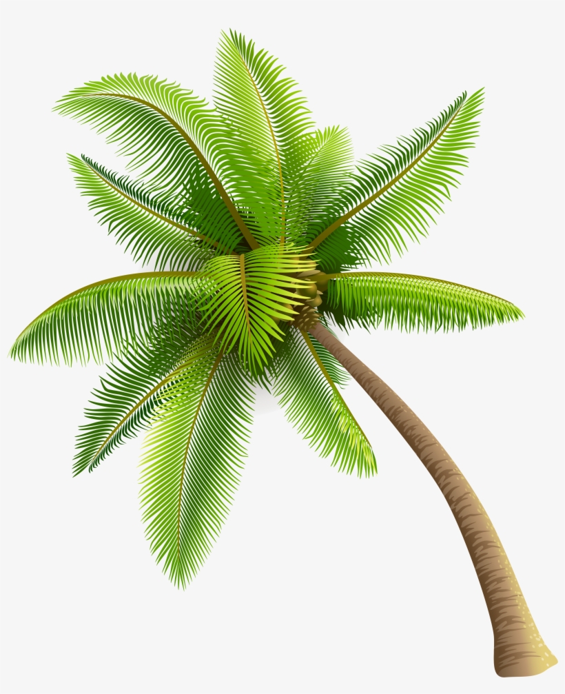 Green Palm Tree Png Clipart - Coconut Tree Png, transparent png #12250