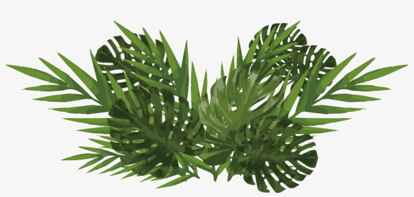 Watercolor Plants Png - Monstera Leaf Watercolor Png, transparent png #12757