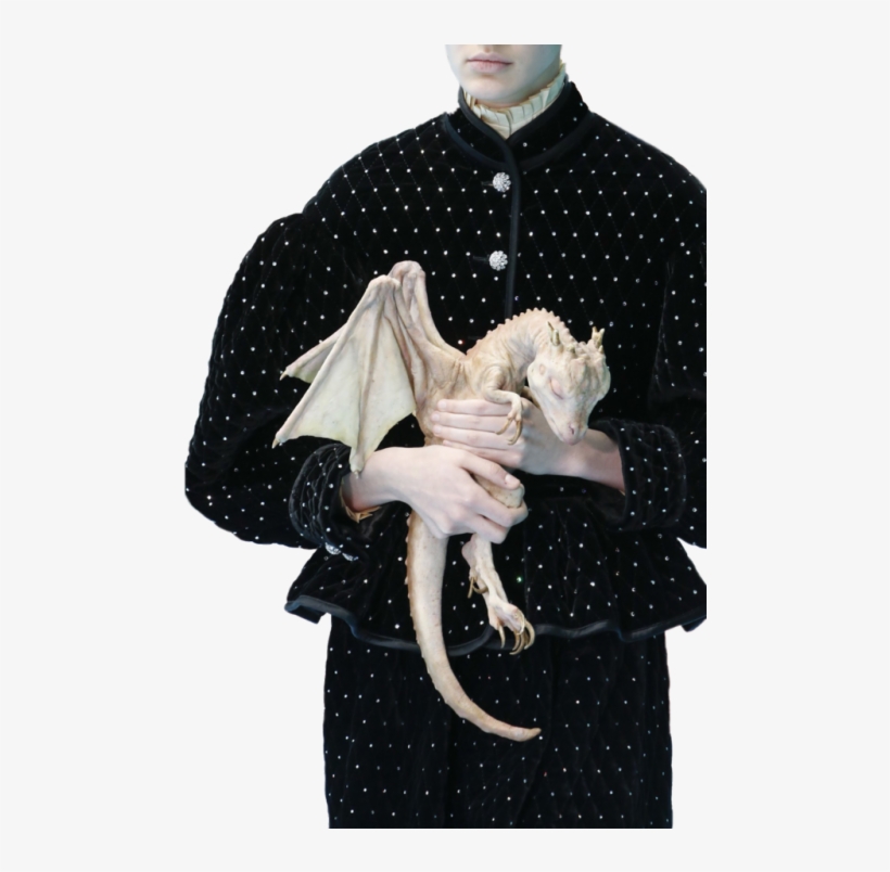 Gucci Fw18🐉 - Gucci Spring Summer 2019, transparent png #12959