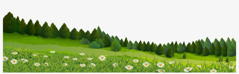 Grass Png, transparent png #13087