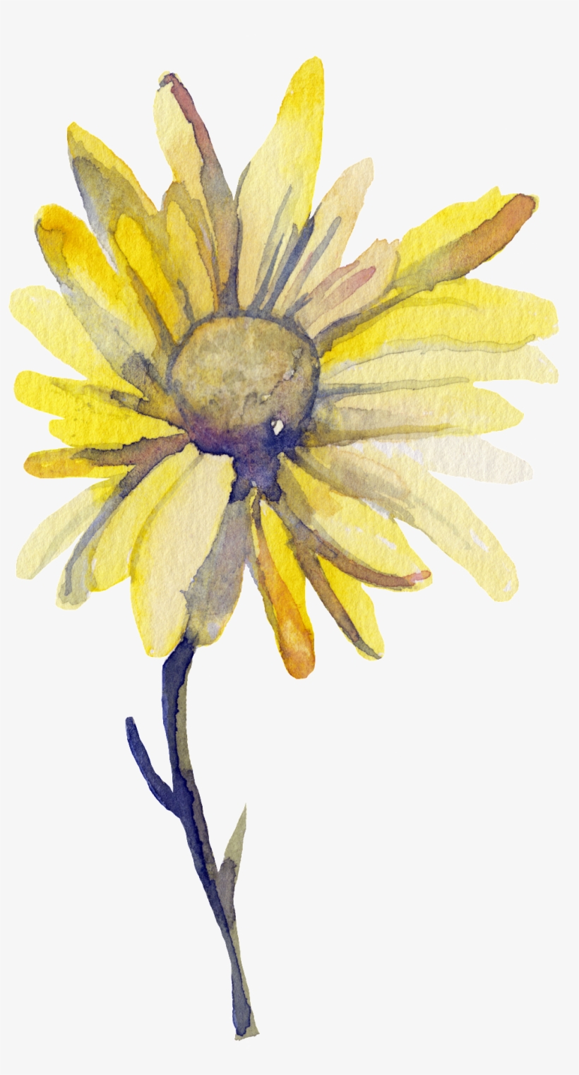 Yellow Sun Flower Transparent Decorative - Watercolor Painting, transparent png #13151