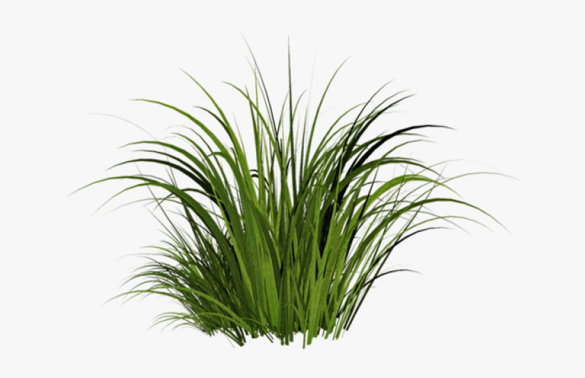 Grass - Khadi Khus Soap-125g Set, transparent png #13354