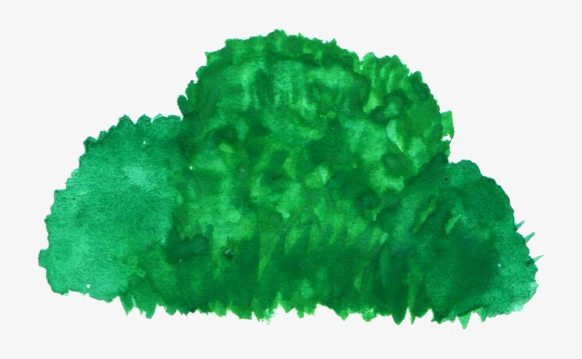 Watercolor Bush Transparent - Watercolor Bush, transparent png #13355