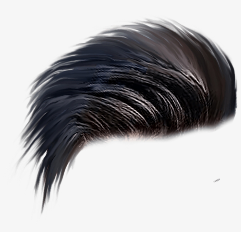 Brush Background png download  589812  Free Transparent Wig png  Download  CleanPNG  KissPNG