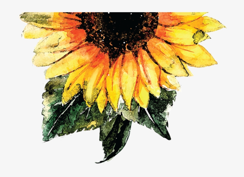 Choose To Shine - Water Color Sunflower Png, transparent png #13439