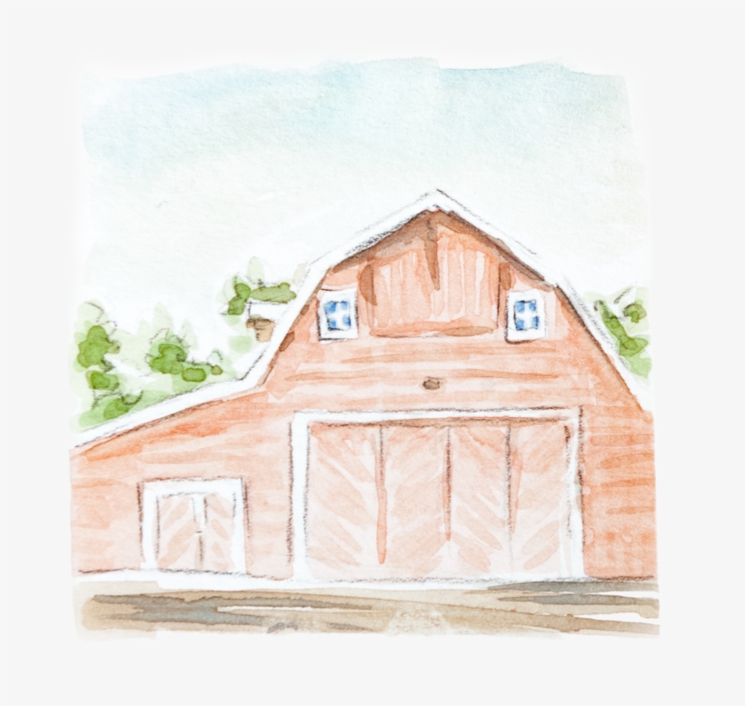 Imgp6931 - Portable Network Graphics, transparent png #13551