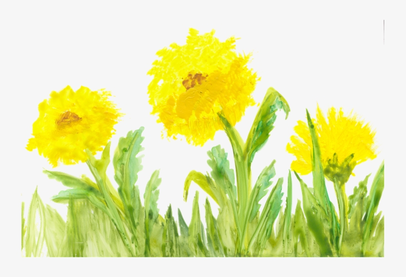 Local Artist Adds Flair To New Children's Book Series - Yellow Flower Watercolor Transparent, transparent png #13611