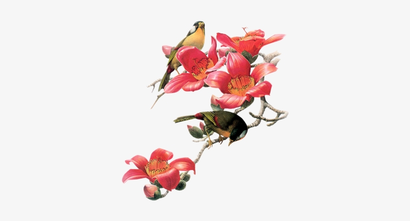 Birds - Leather Bag Female Yellow, transparent png #13723