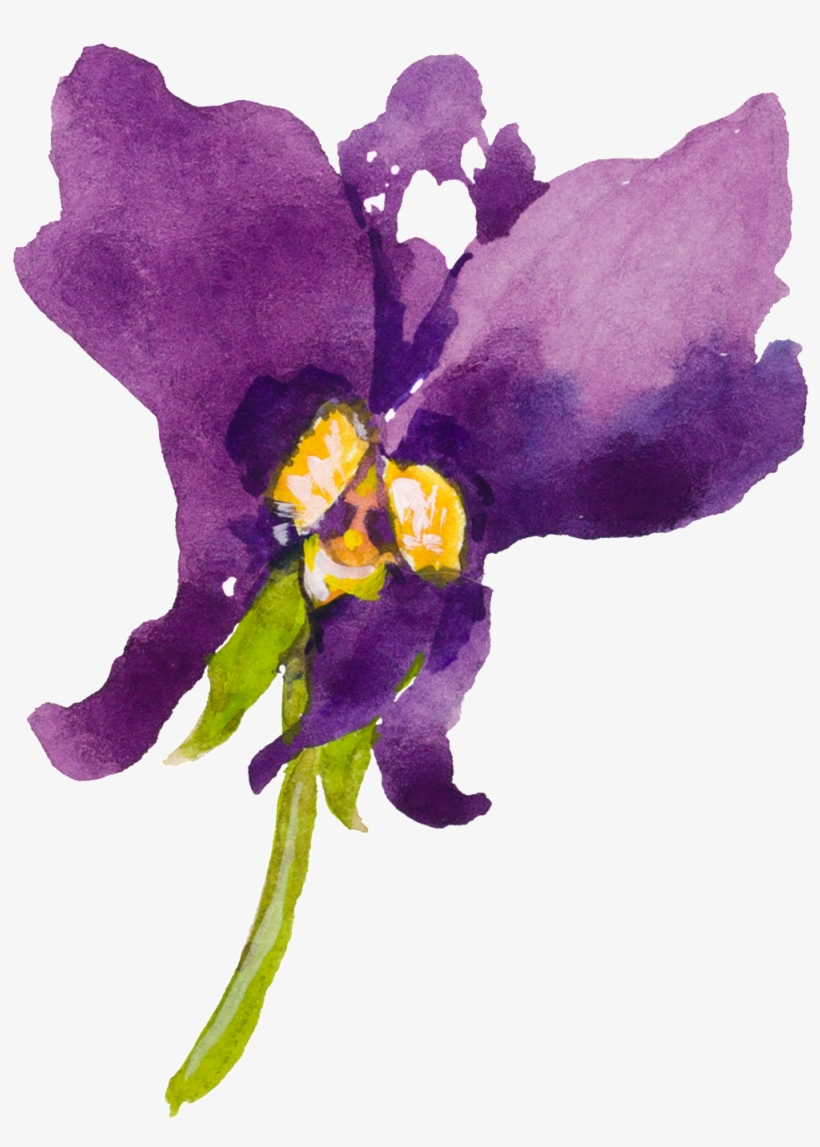 This Graphics Is Purple Cartoon Butterfly Orchid Watercolor - Orchids, transparent png #13806