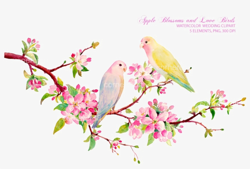 Love Birds Png Download Image - Spring Flowers Watercolor Clipart, transparent png #13847